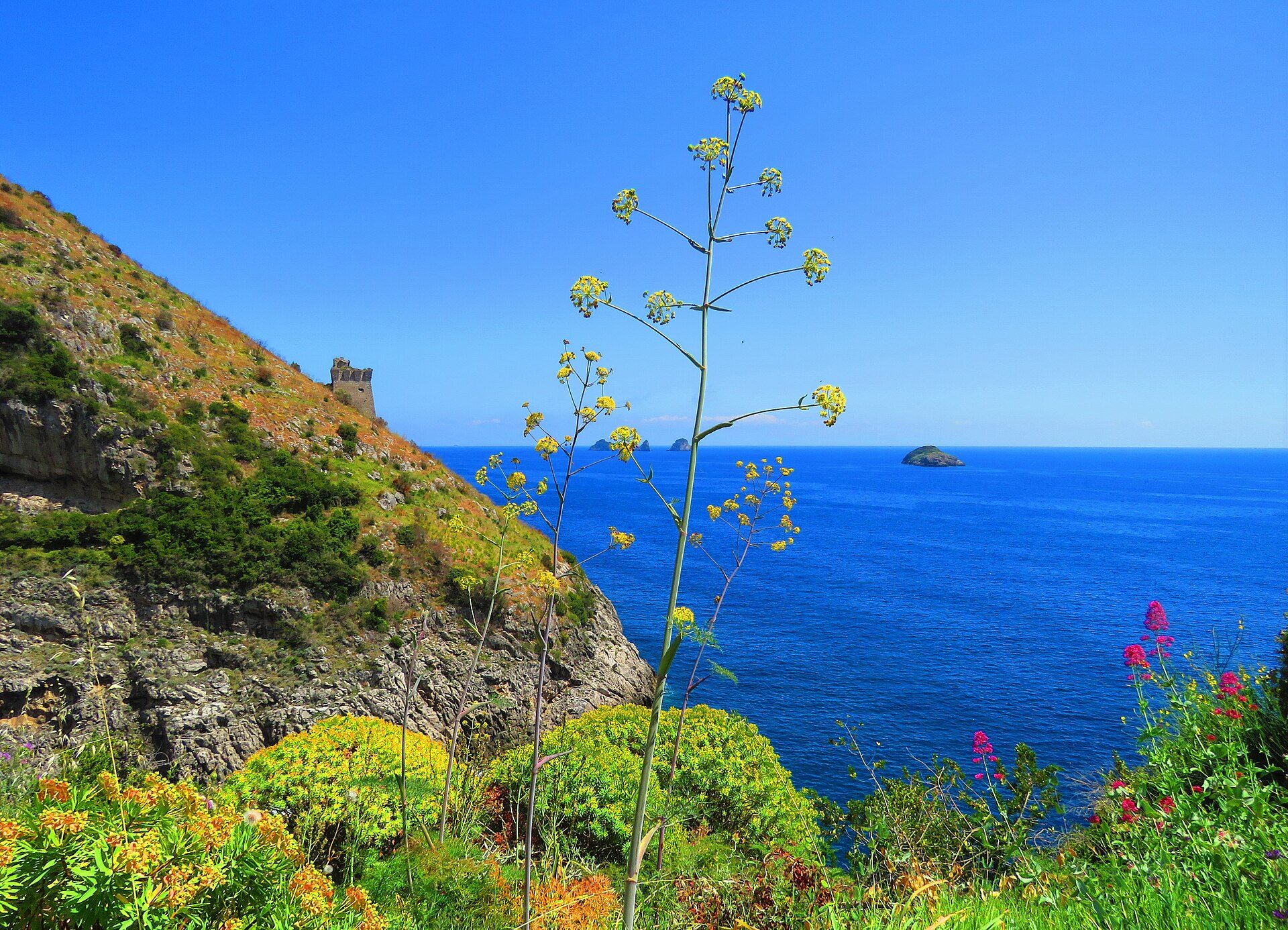 Il fiordo di Marina di Crapolla