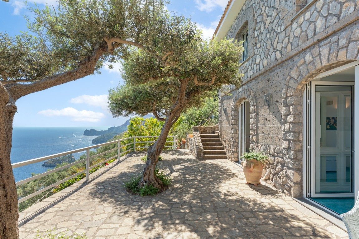 Villa Lantana, l'ulivo e il mare
