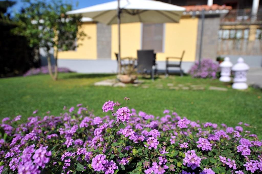 Villa Titina, il giardino